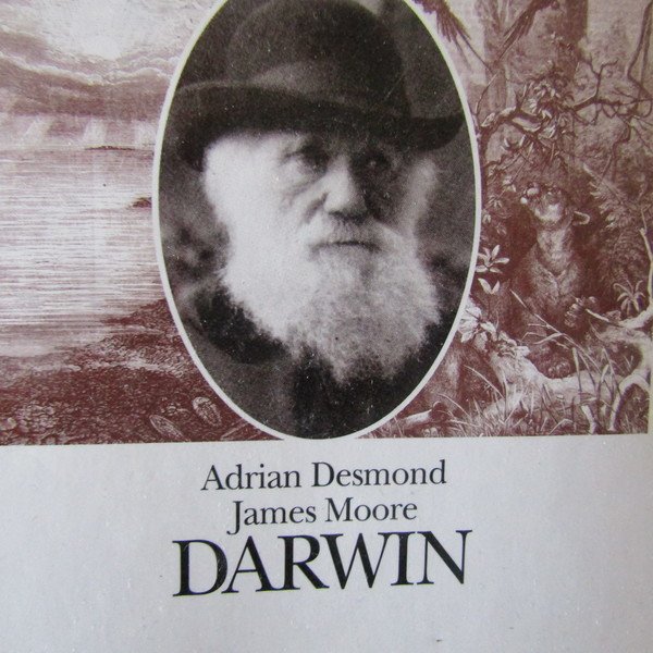 Darwin