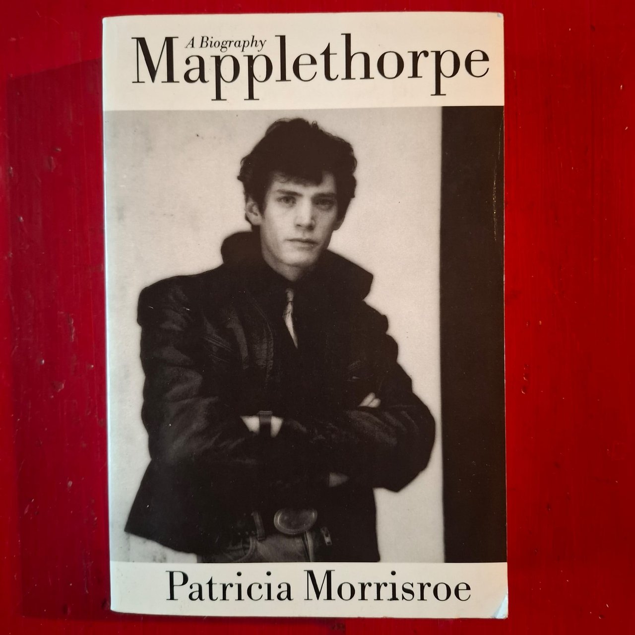 A Biography Mapplethorpe | Immagine principale