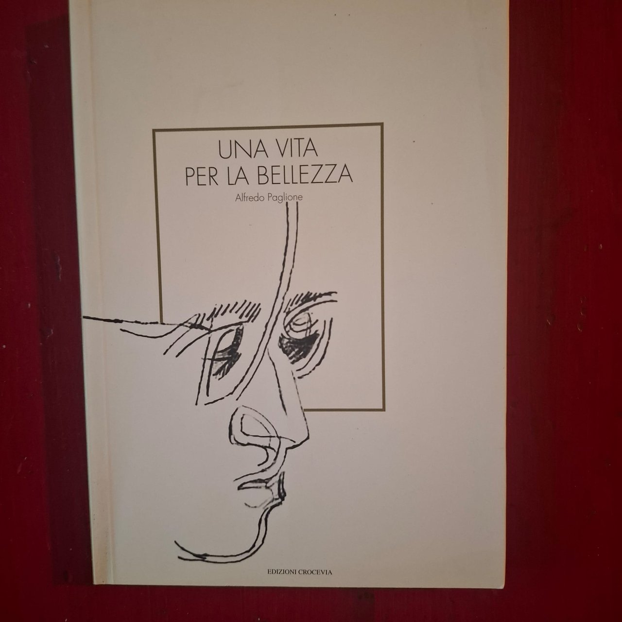 Alfredo Paglione | Immagine principale