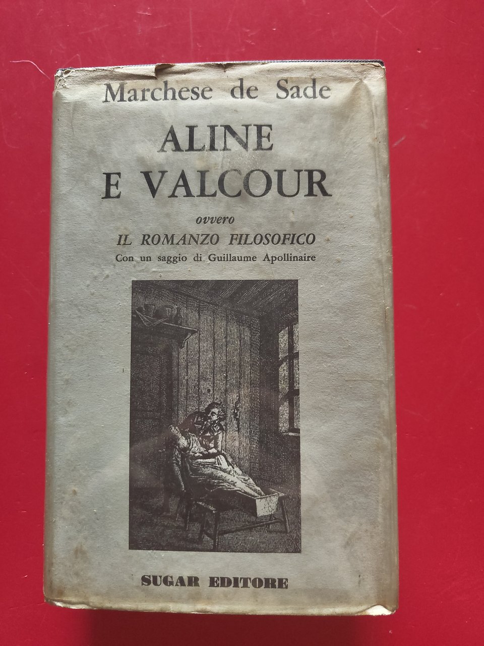 Aline e Valcour | Immagine principale