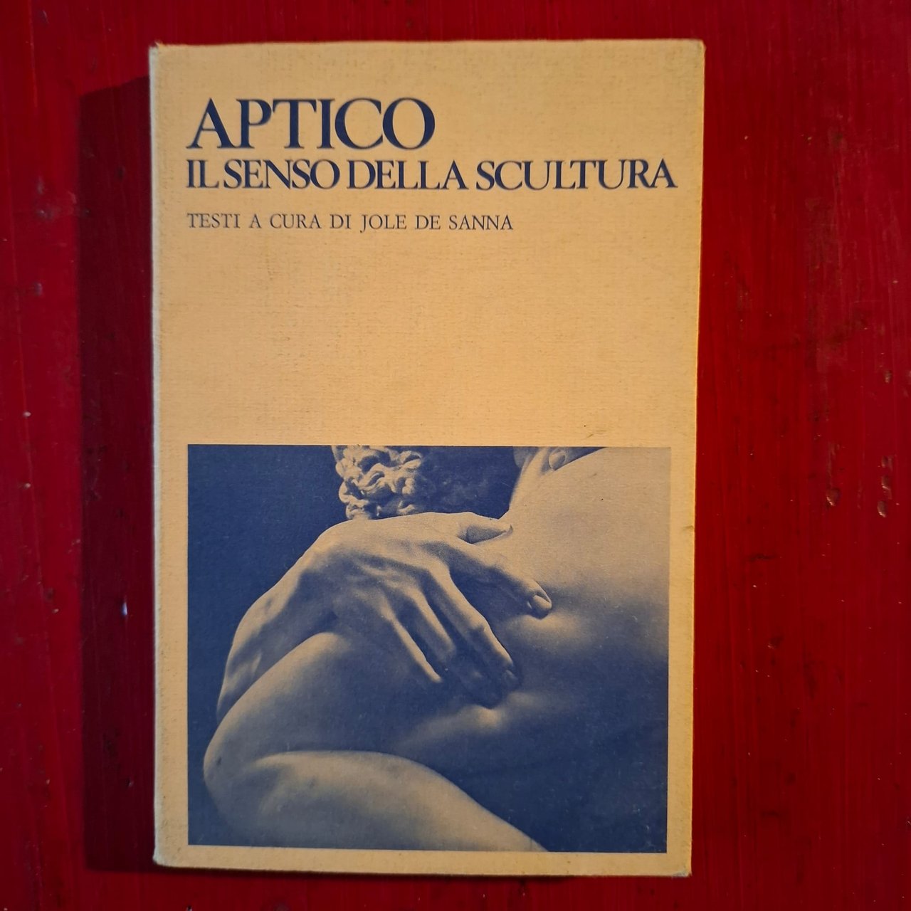 Aptico: Il senso della scultura | Immagine principale