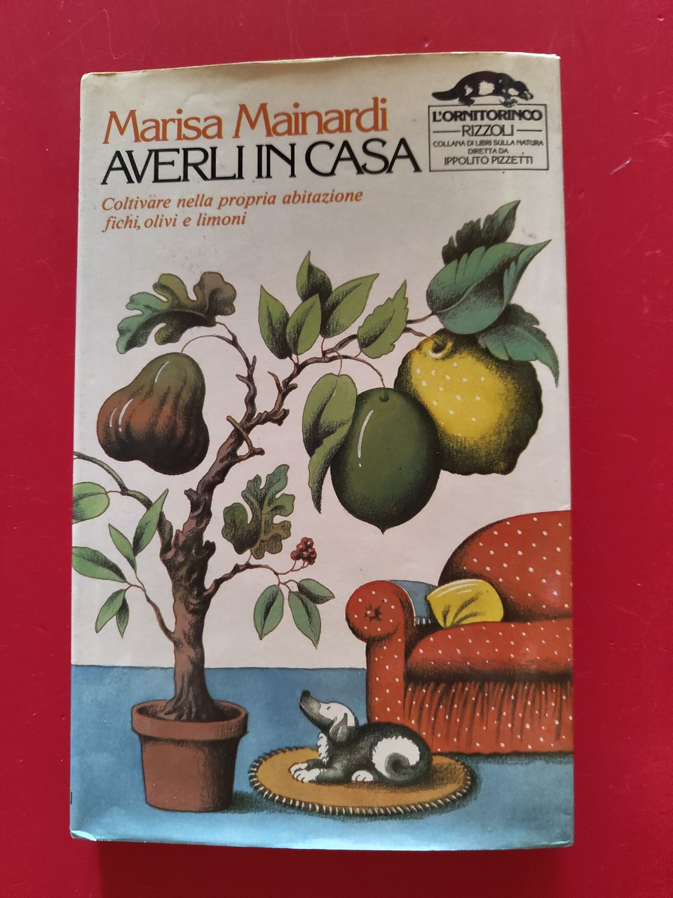 Averli in casa