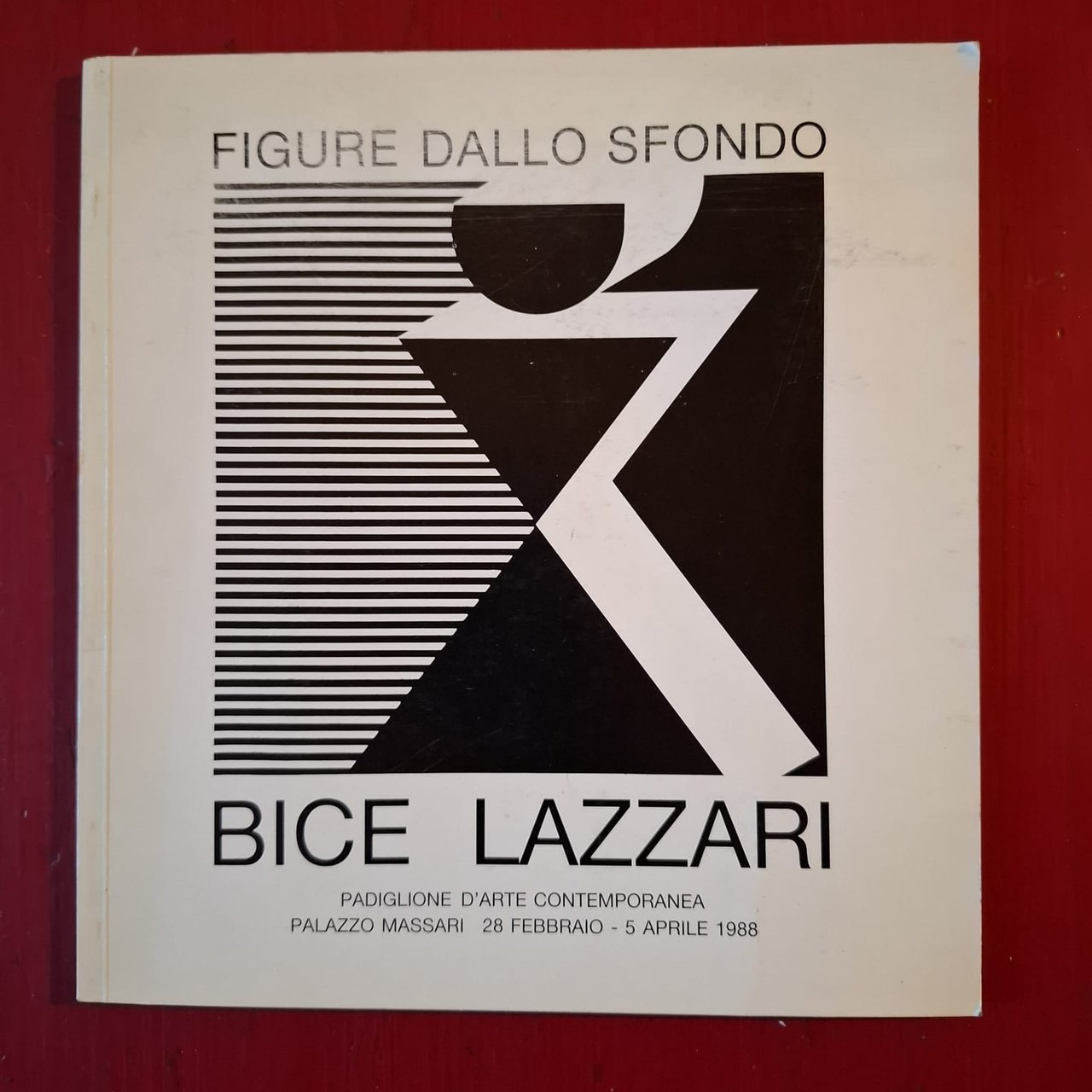 Bice Lazzari | Immagine principale