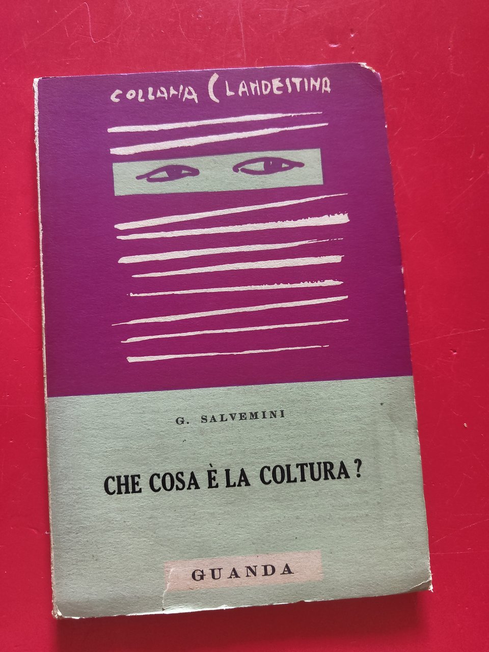 Che cosa è la coltura?