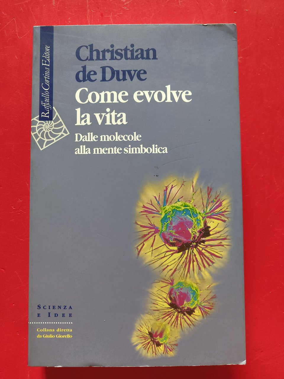 Come evolve la vita