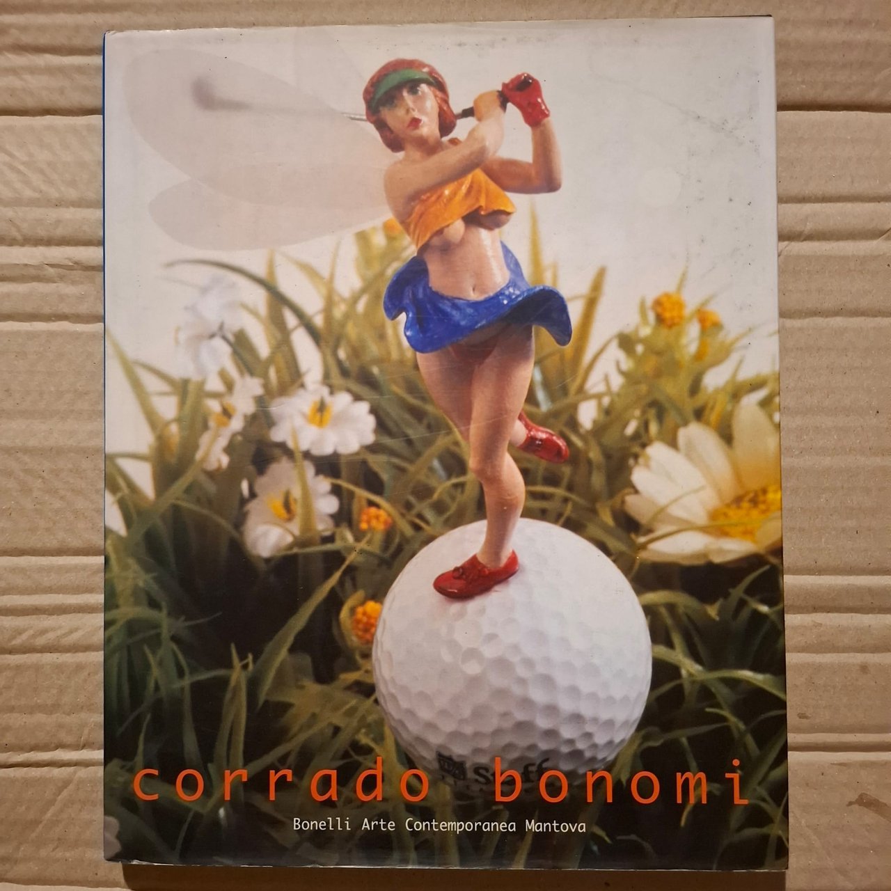 Corrado Bonomi | Immagine principale