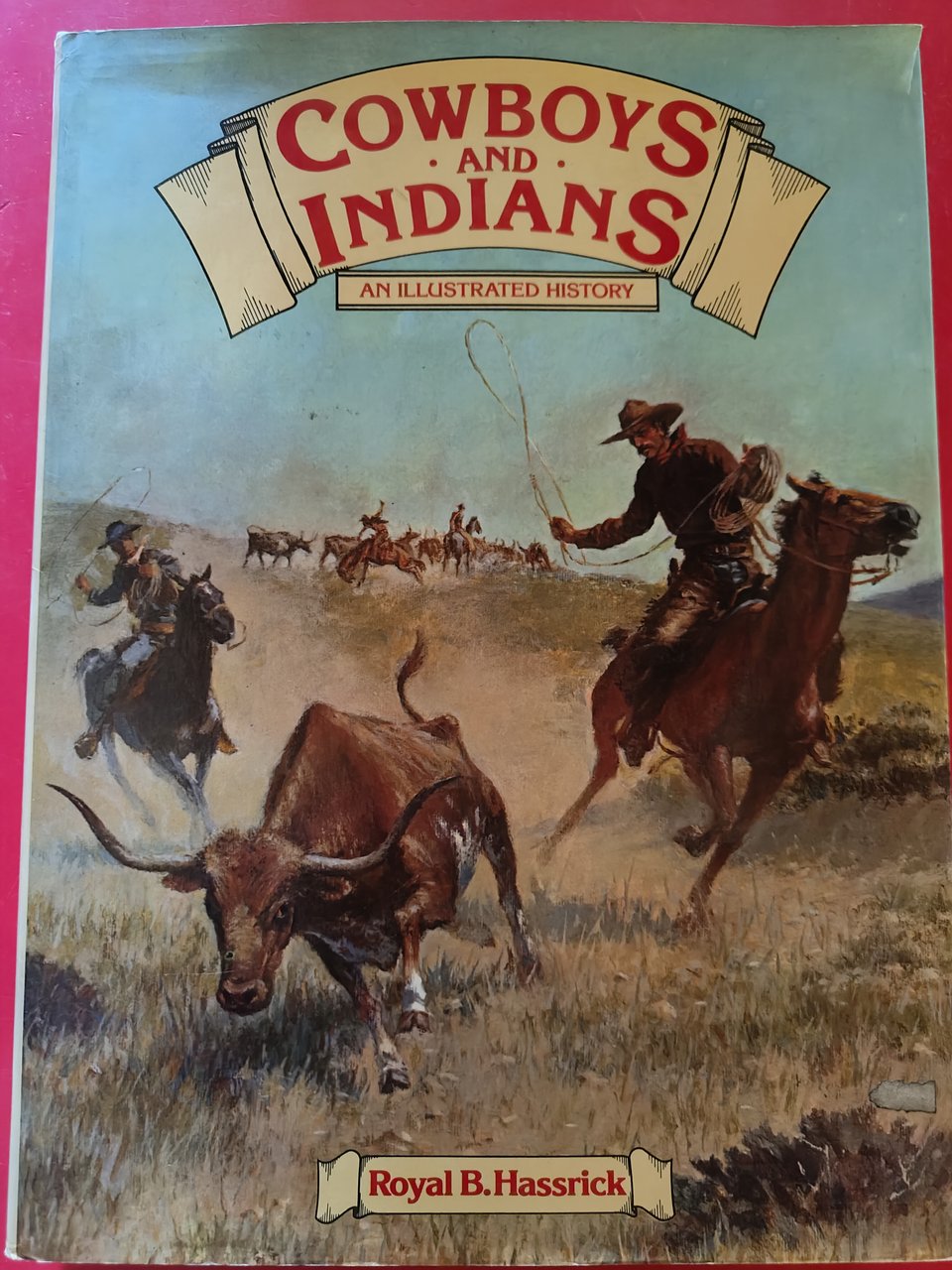 Cowboys and Indians