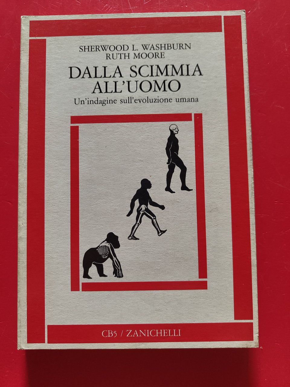 Dalla scimmia all'uomo | Immagine principale