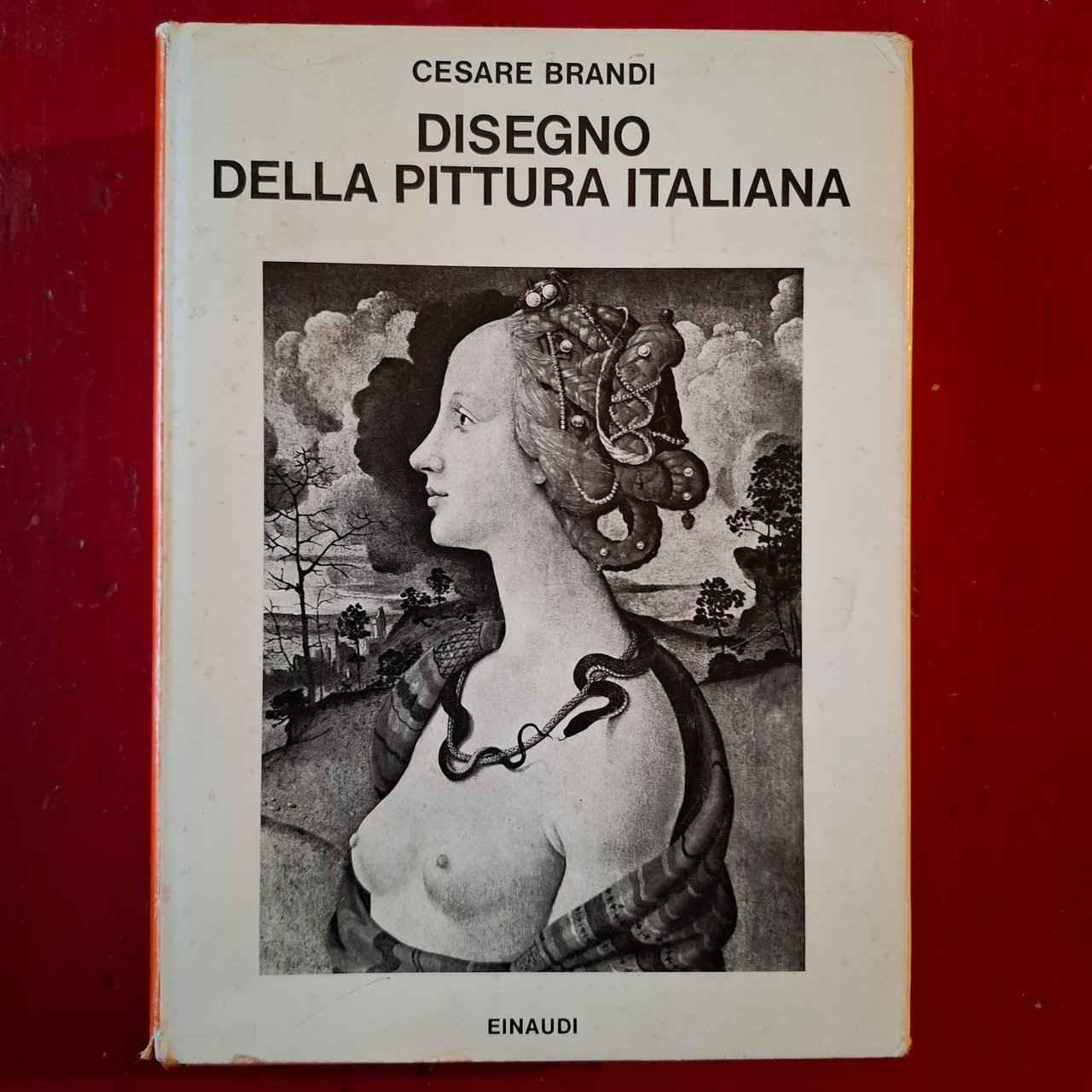 Disegno della Pittura Italiana | Immagine principale
