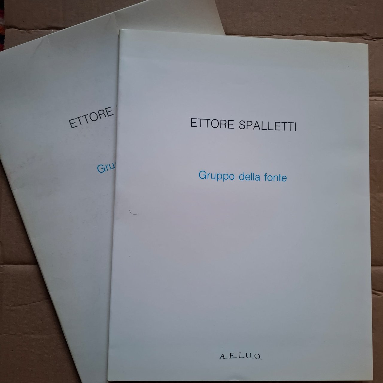Ettore Spalletti | Immagine principale