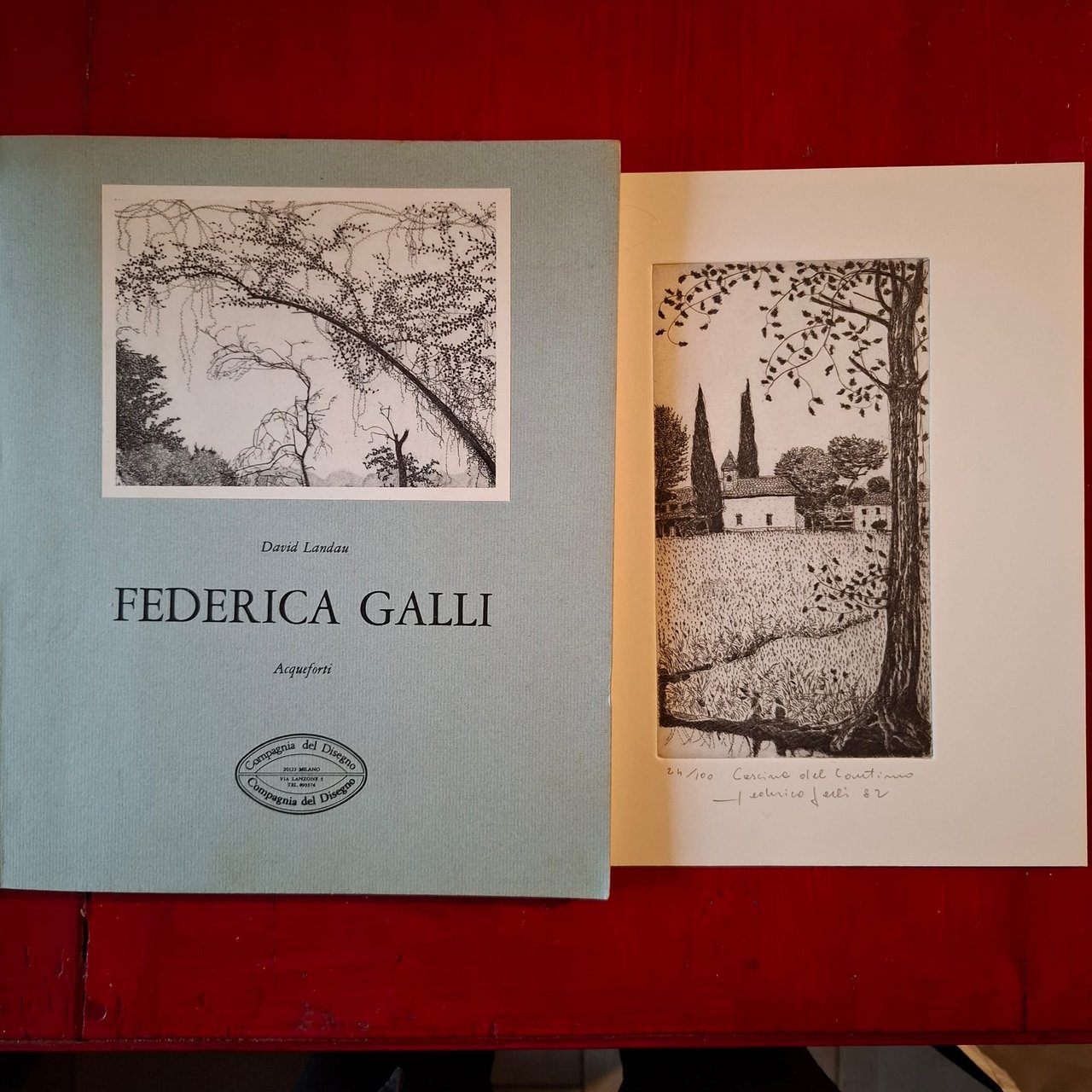 Federica Galli | Immagine principale