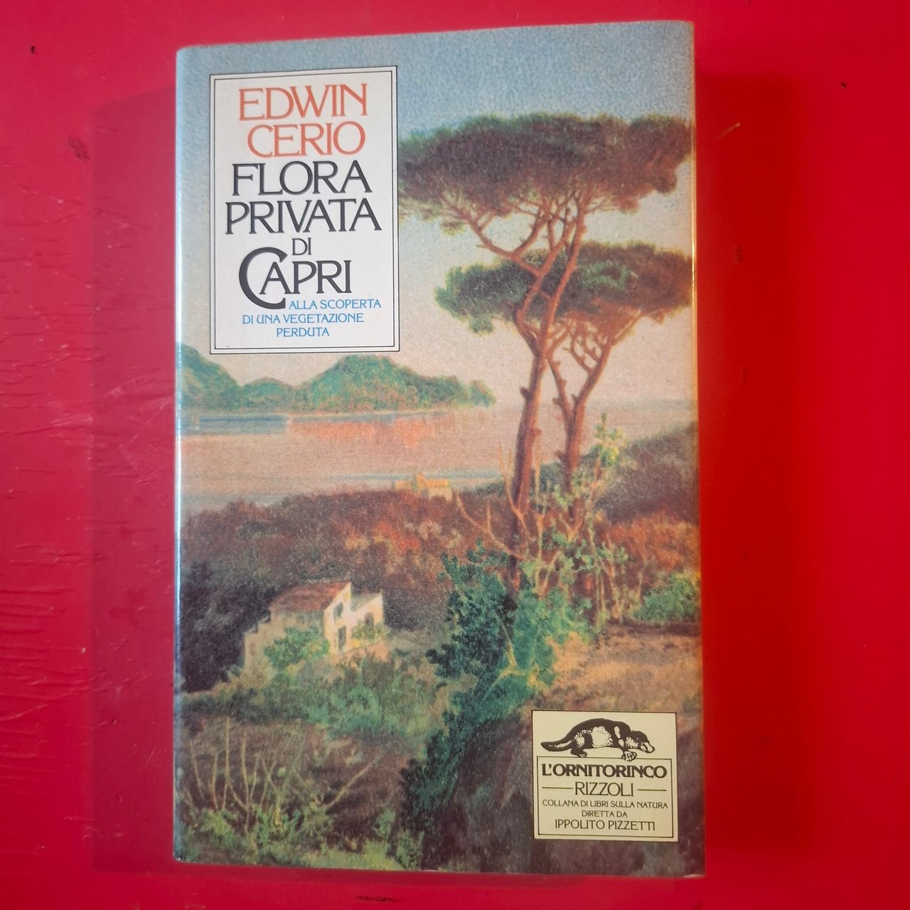Flora privata di Capri | Immagine principale