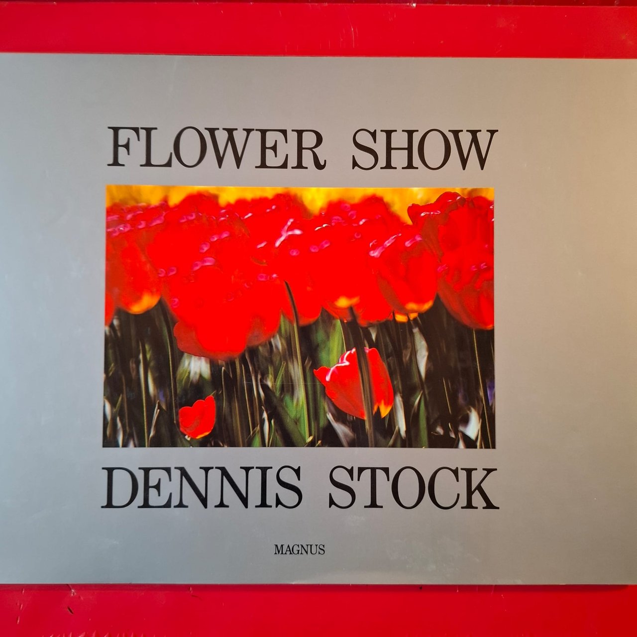 Flower Show | Immagine principale