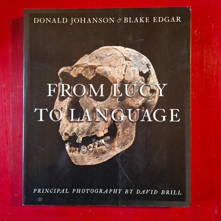 From Lucy to Language | Immagine Gallery 2