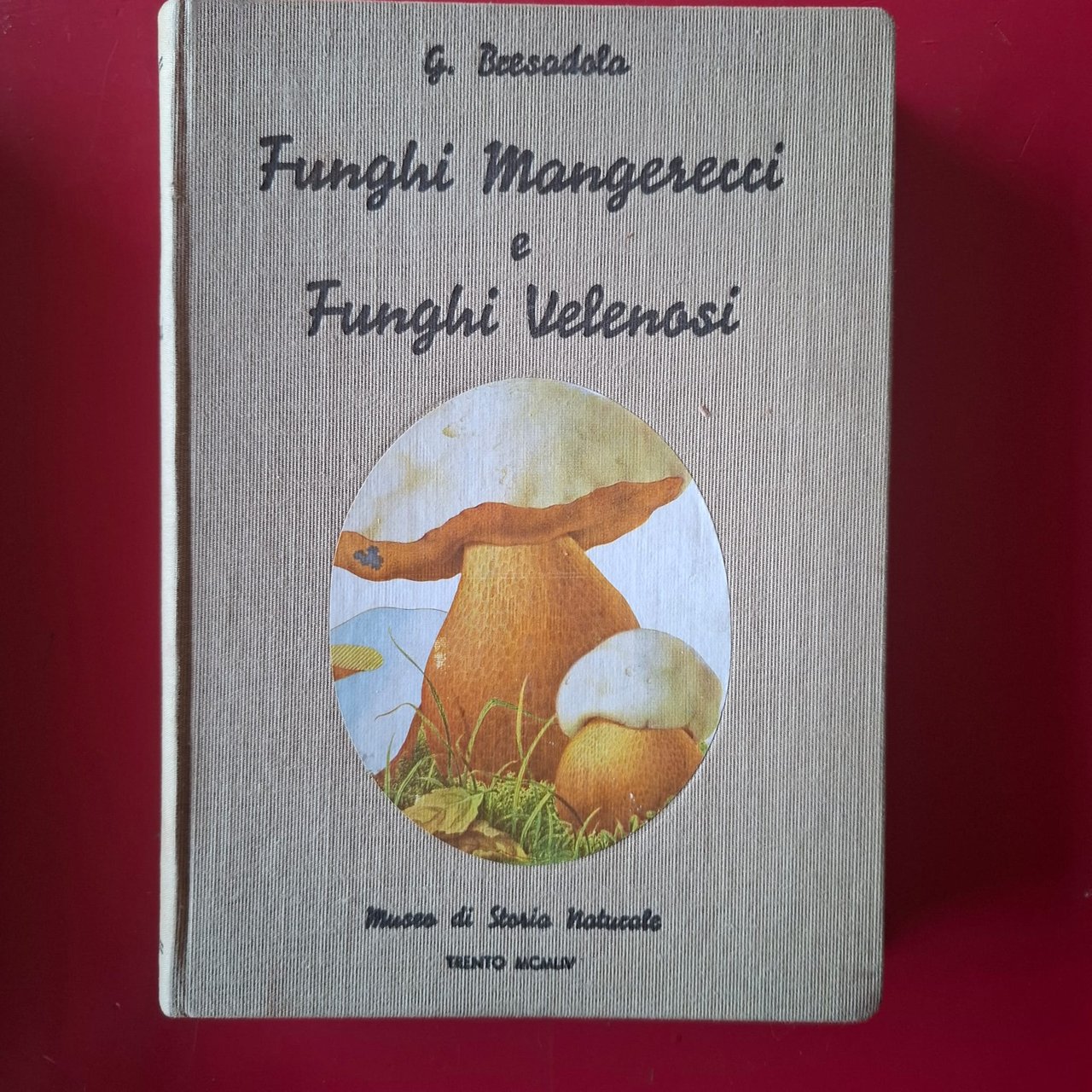 Funghi mancerecci e funghi velenosi | Immagine principale