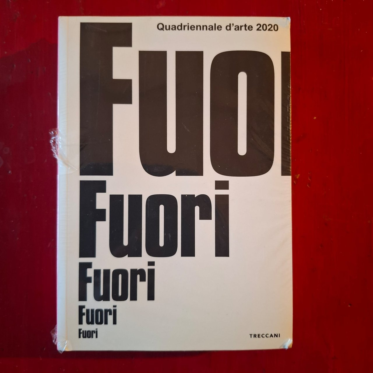 Fuori Quadriennale d'Arte 2020 | Immagine principale