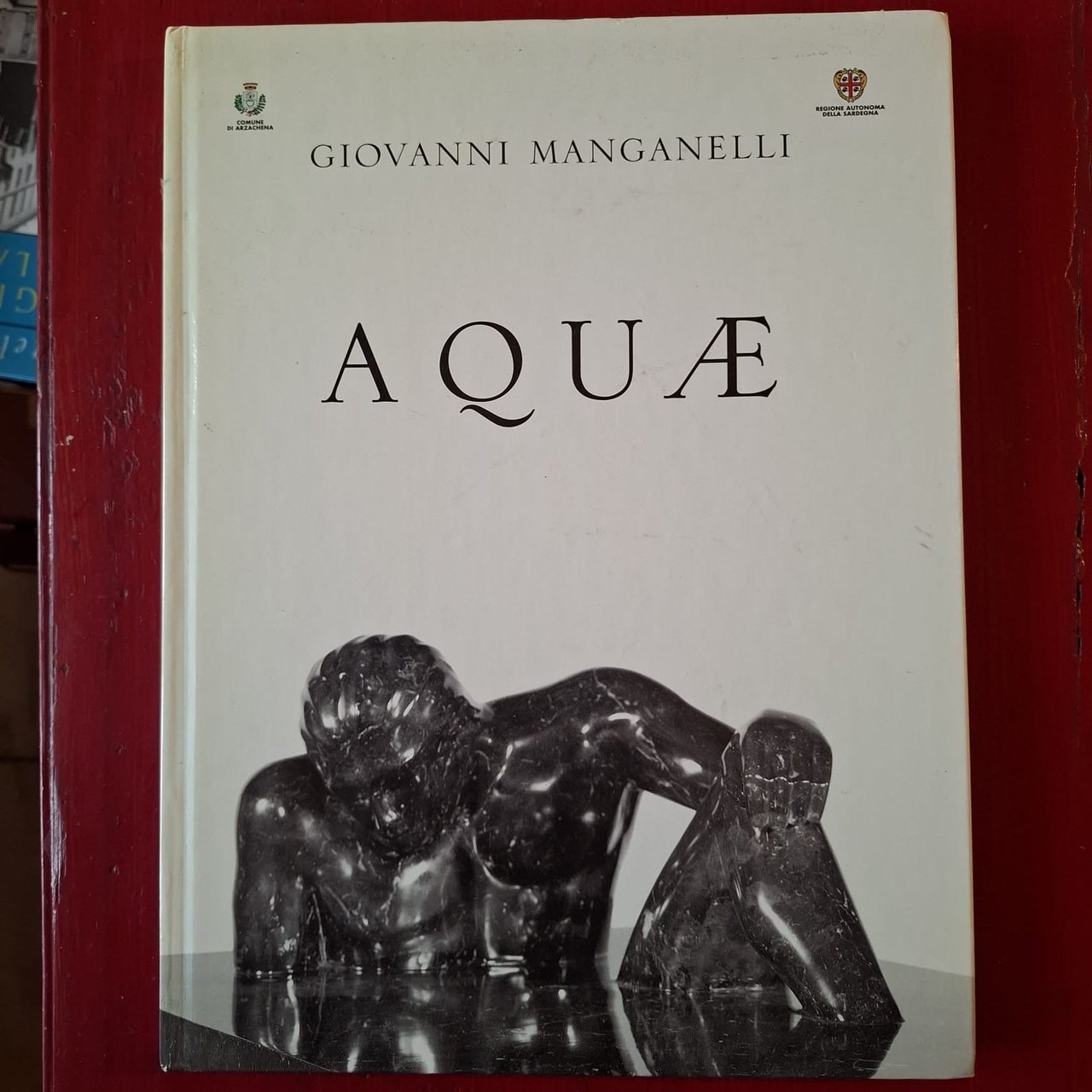 Giovanni Manganelli | Immagine principale