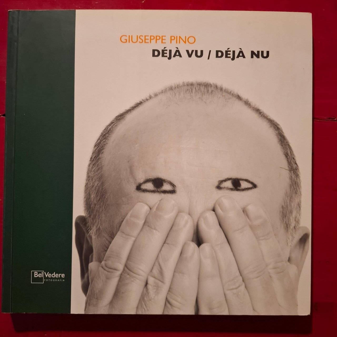 Giuseppe Pino | Immagine principale