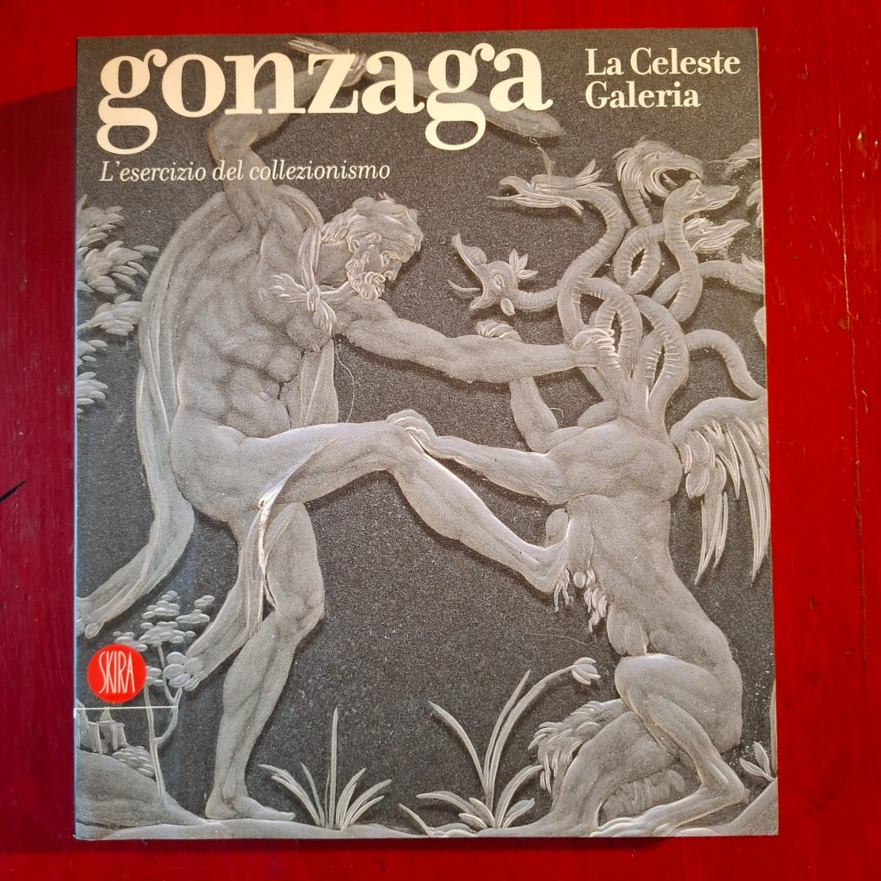 Gonzaga La Celeste Galleria | Immagine principale