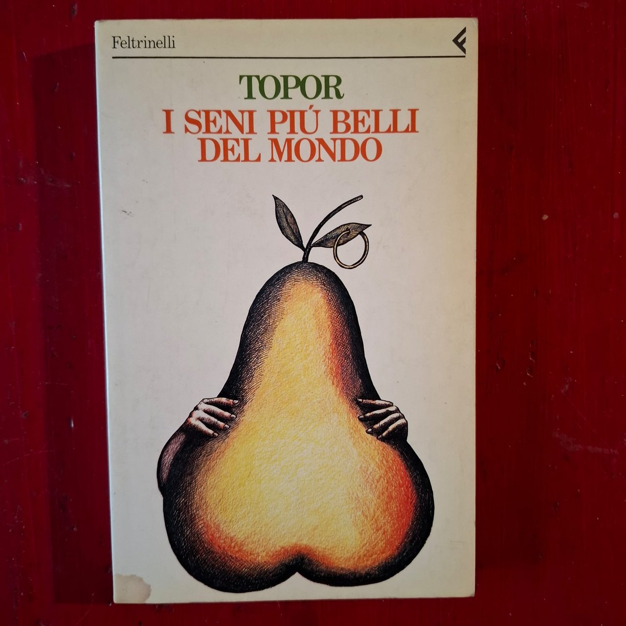 I seni più belli del mondo | Immagine principale