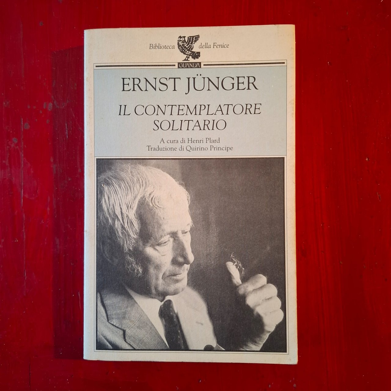 Il contemplatore solitario | Immagine principale