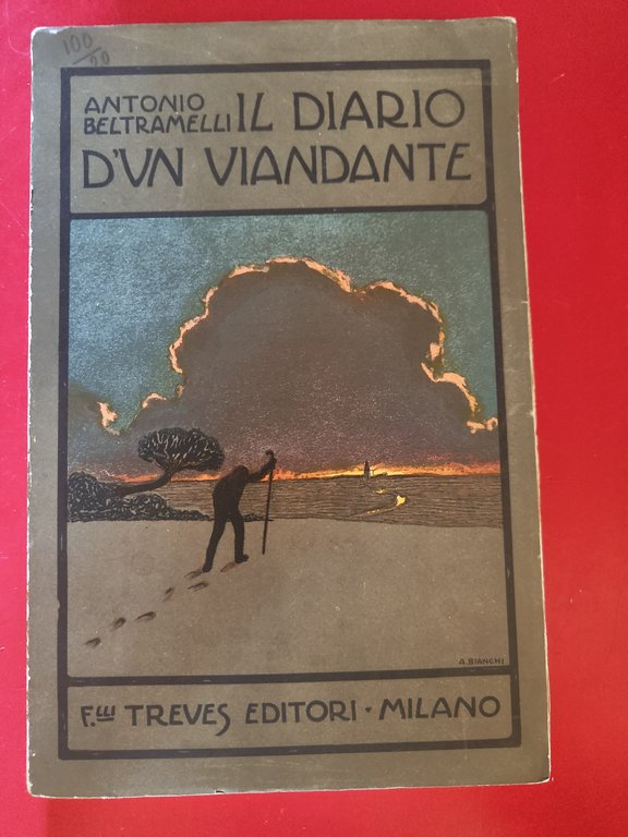 Il diario d'un viandante