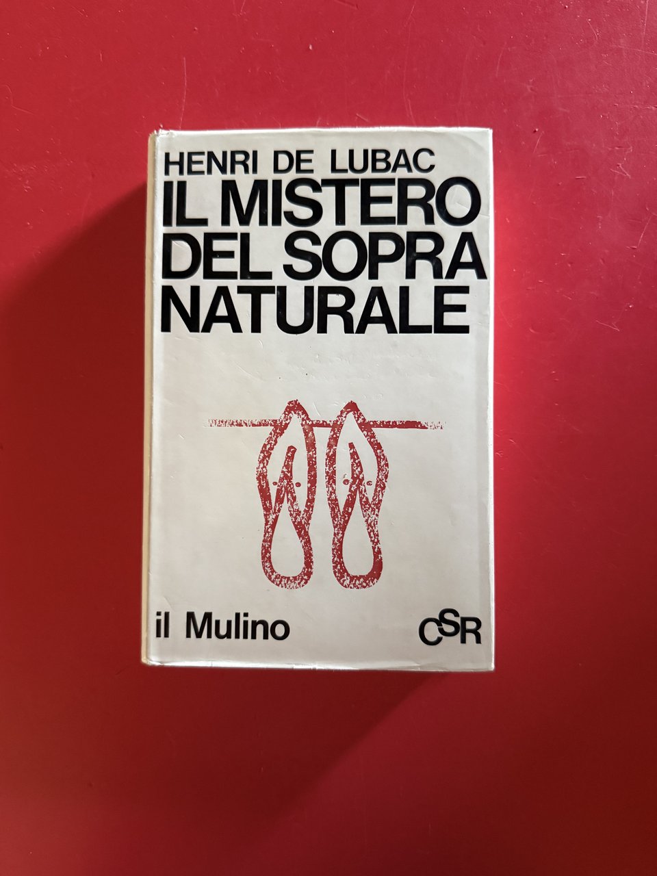 Il Mistero del Soprannaturale