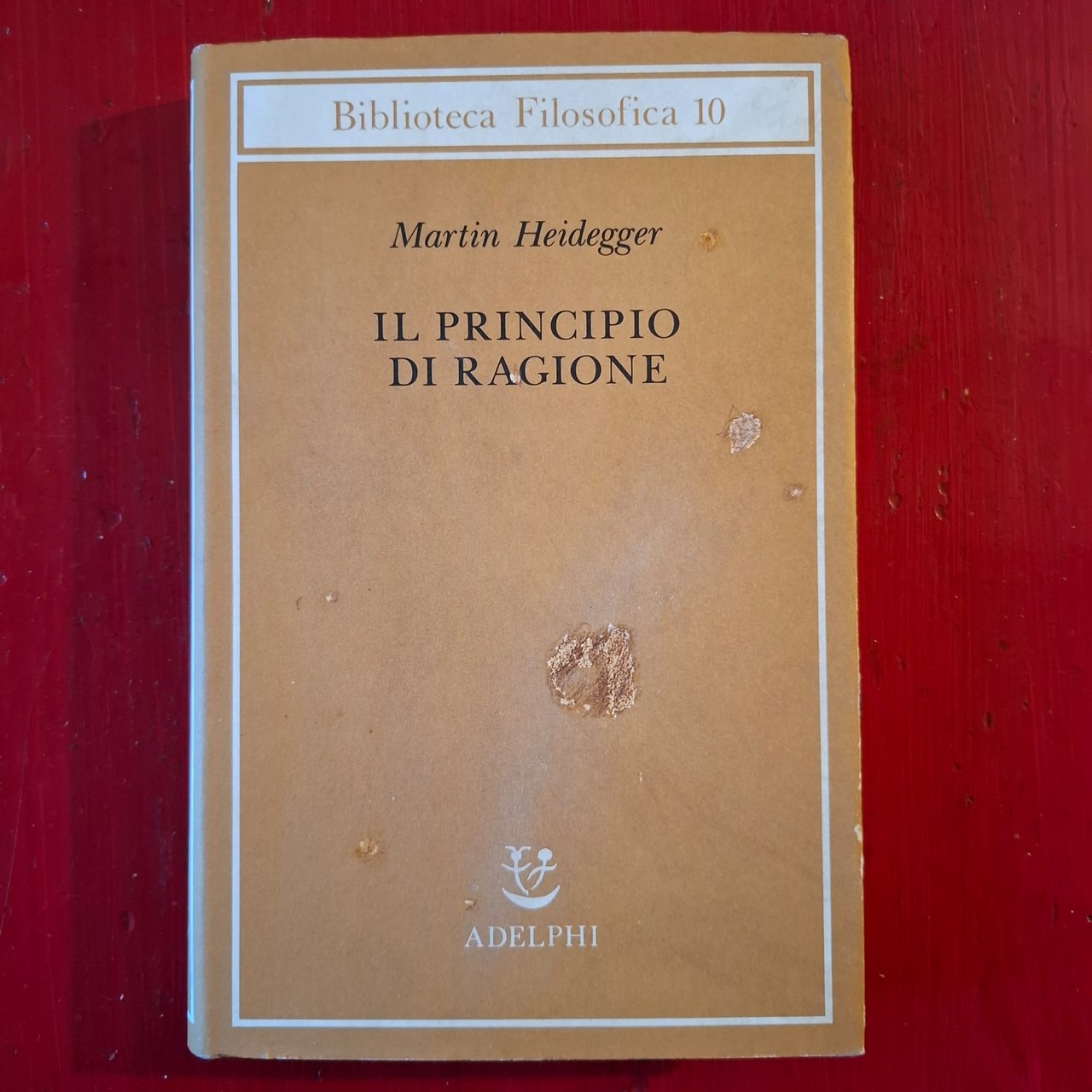 Il principio di ragione | Immagine principale