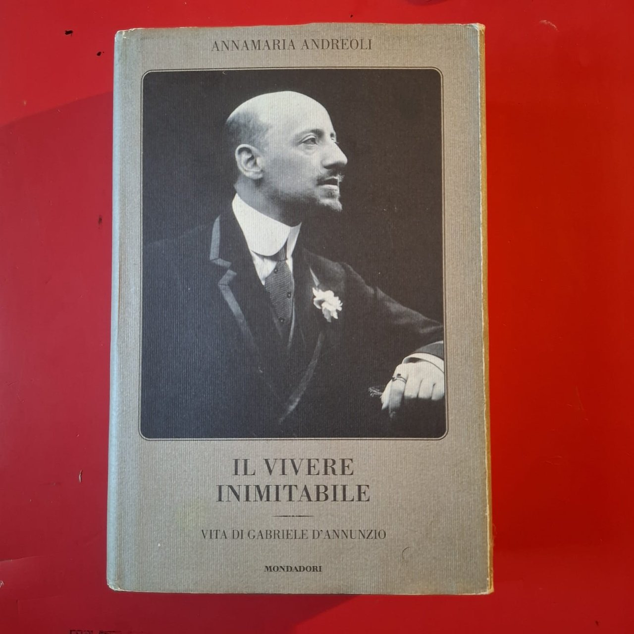 Il vivere inimitabile | Immagine principale