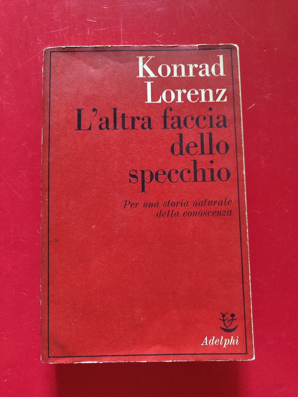 L'altra faccia dello specchio