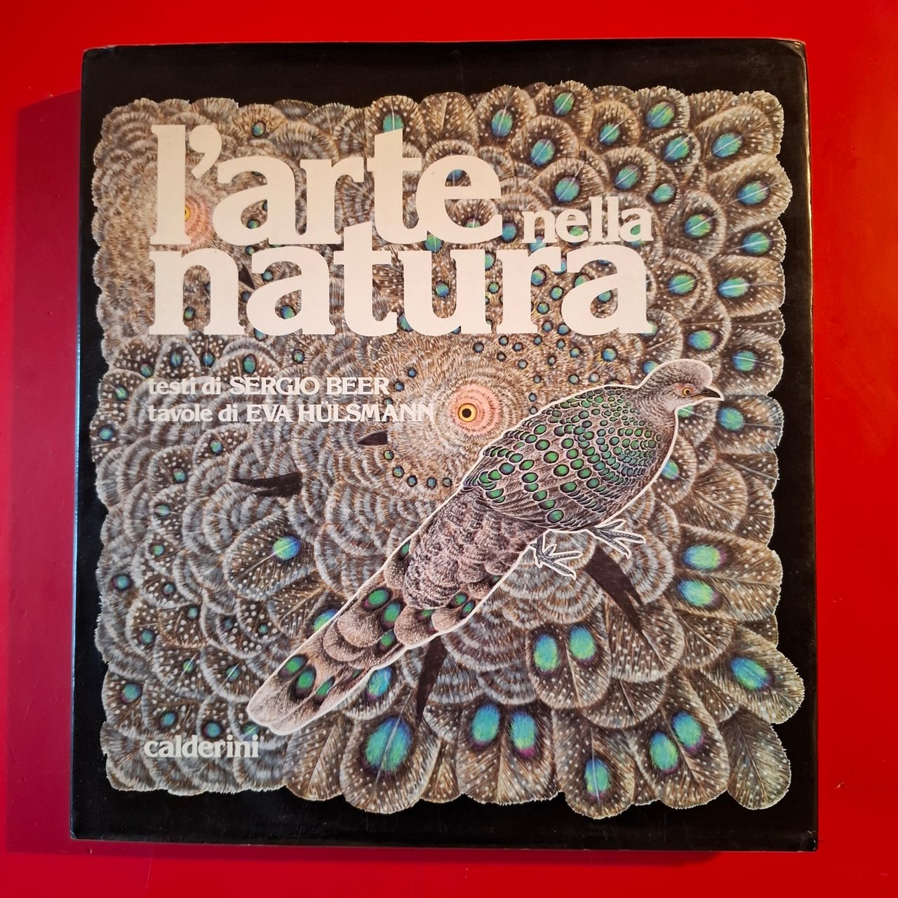 L'arte della Natura | Immagine principale