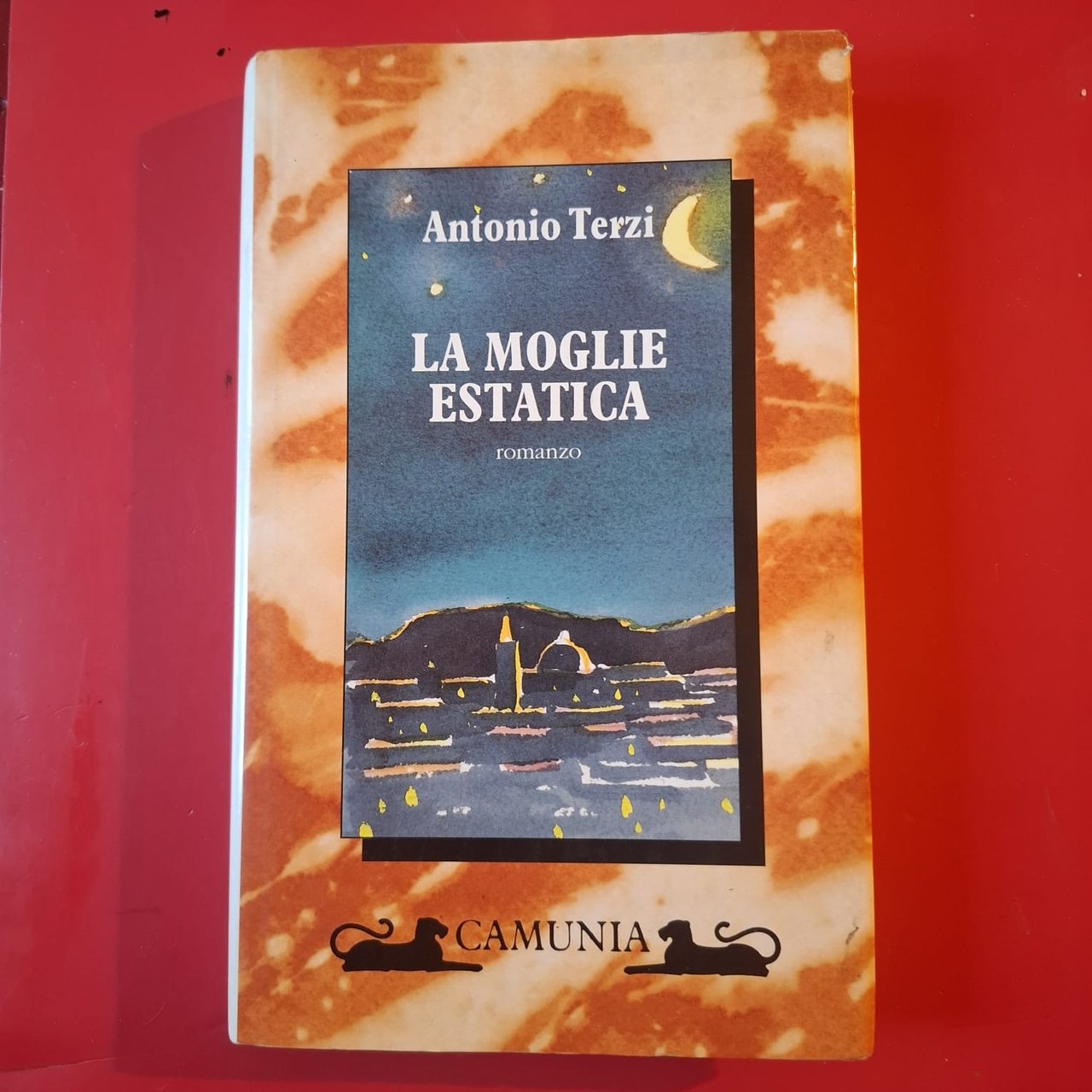 La moglie estatica | Immagine principale