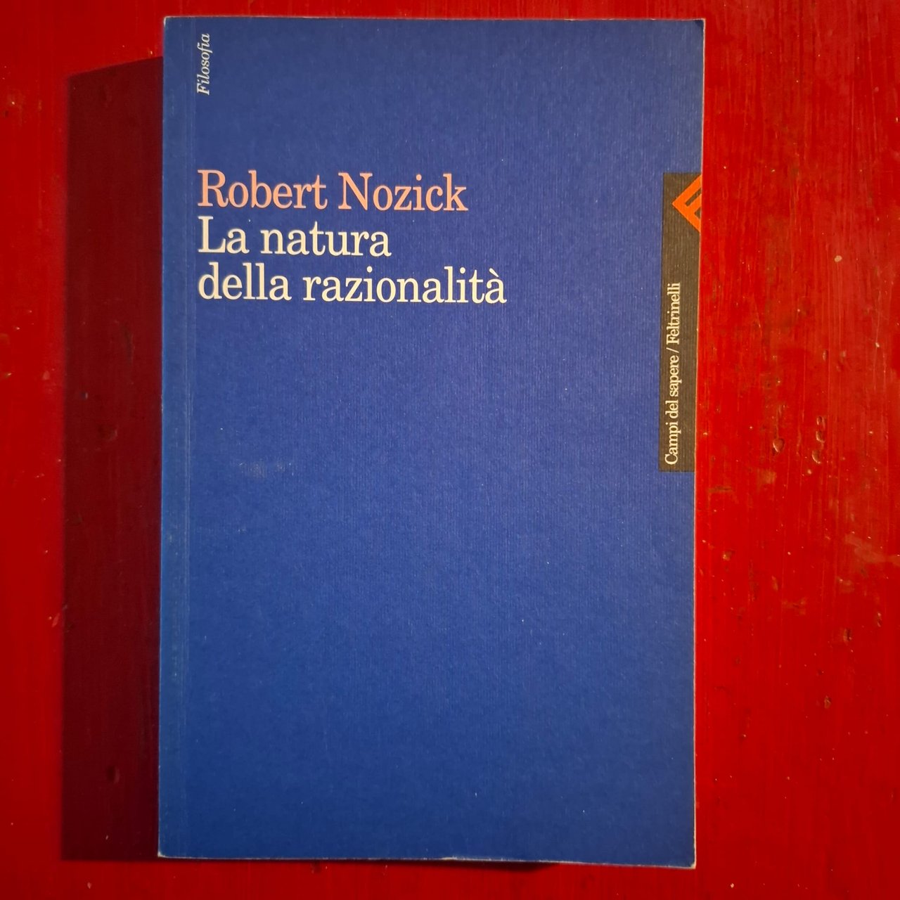 La natura della razionalità | Immagine principale