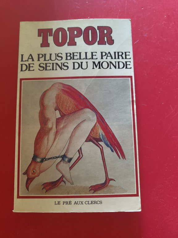 La plus bbelle paire de seins du monde