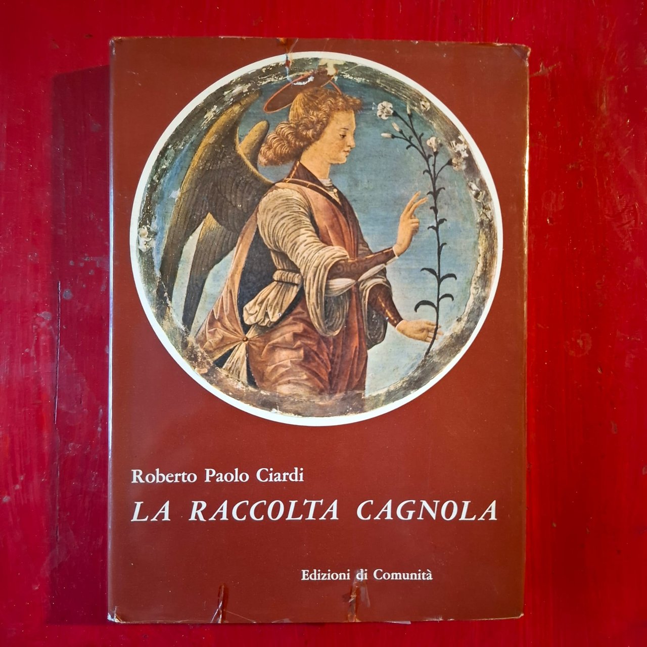 La Raccolta Cagnola | Immagine principale