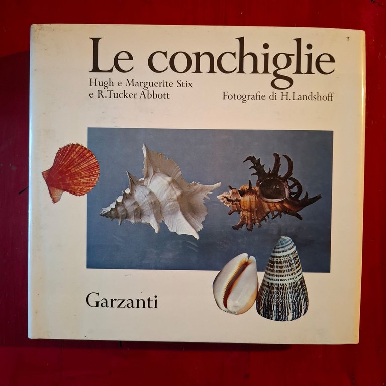 Le Conchiglie | Immagine Gallery 2