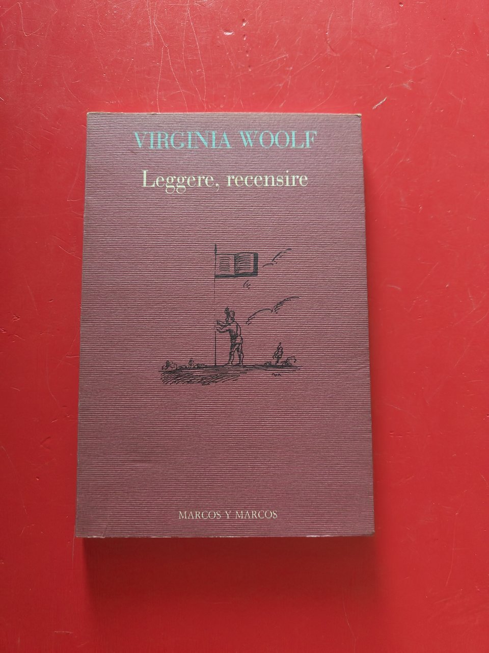 Leggere, recensire