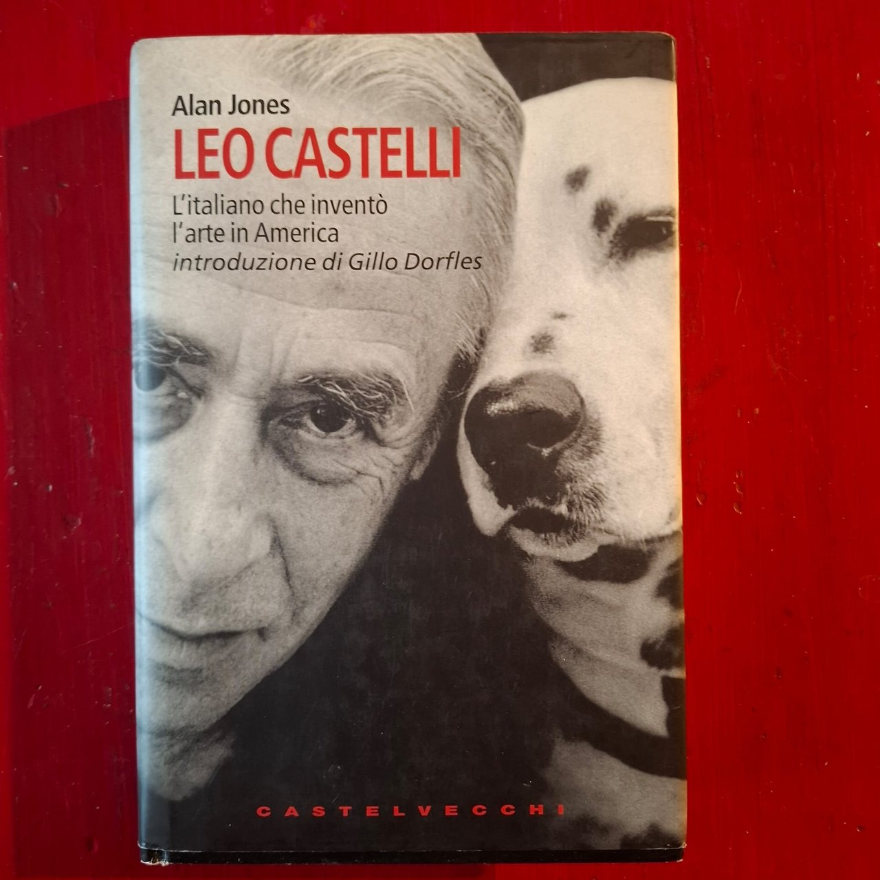 Leo Castelli | Immagine principale