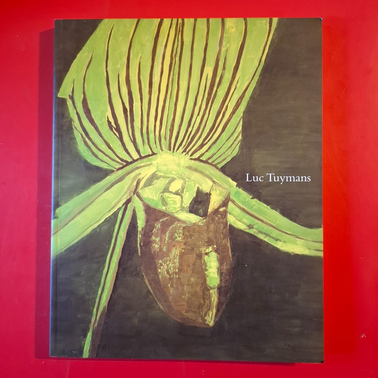 Luc Tuymans | Immagine principale