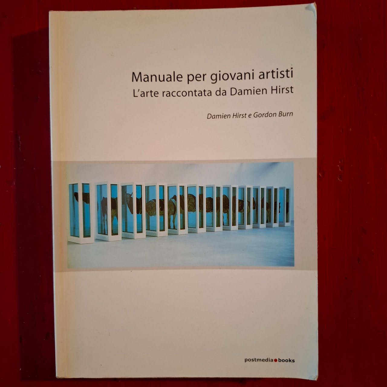 Manuale per giovani artisti | Immagine principale