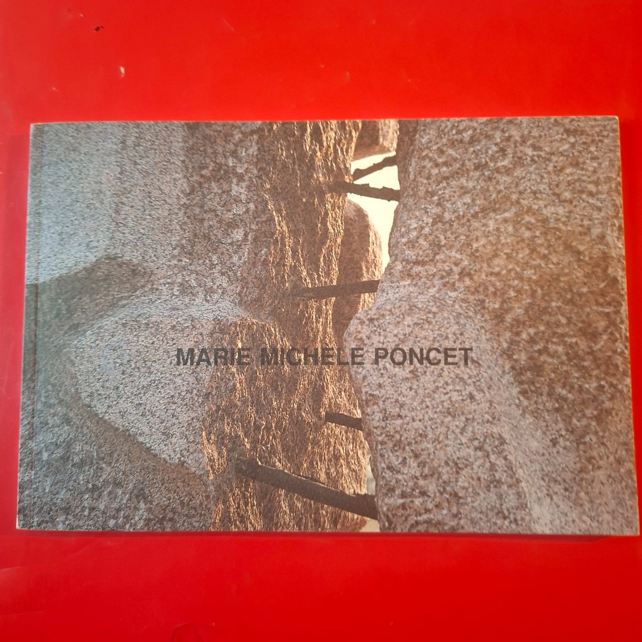 Marie-Michèle Poncet | Immagine principale