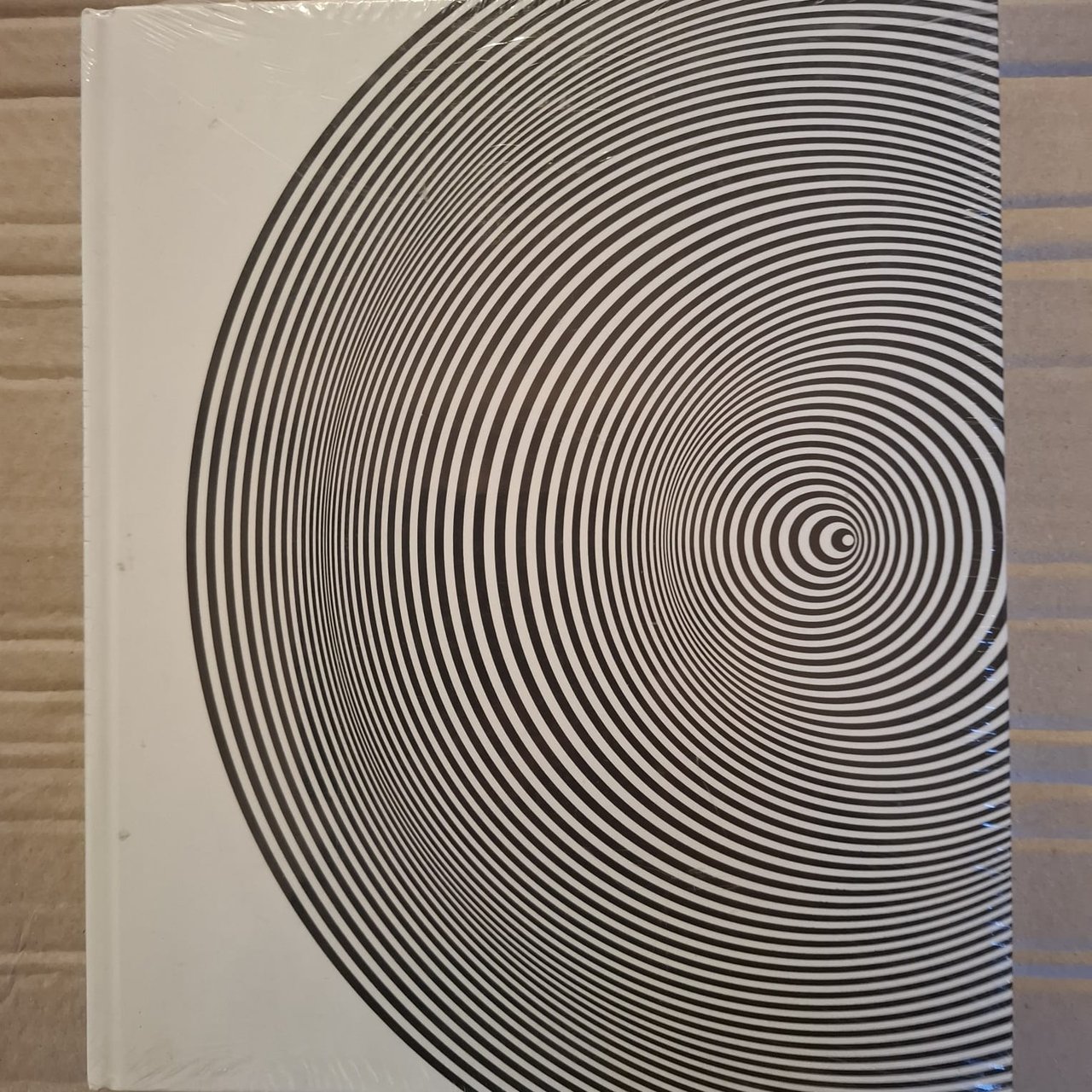 Marina Apollonio | Immagine principale