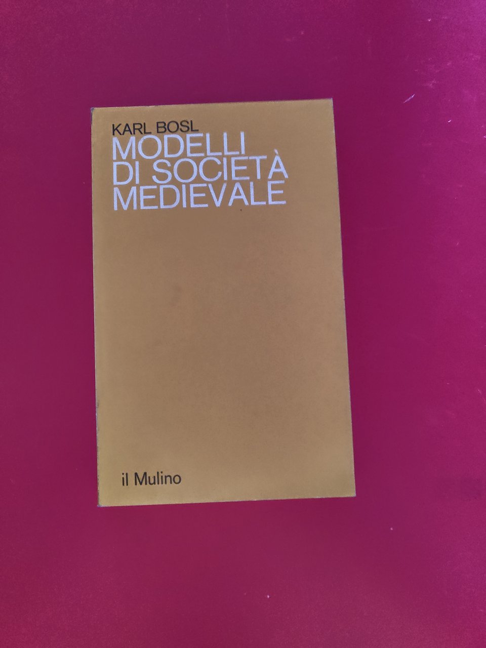 Modelli di società Medievale
