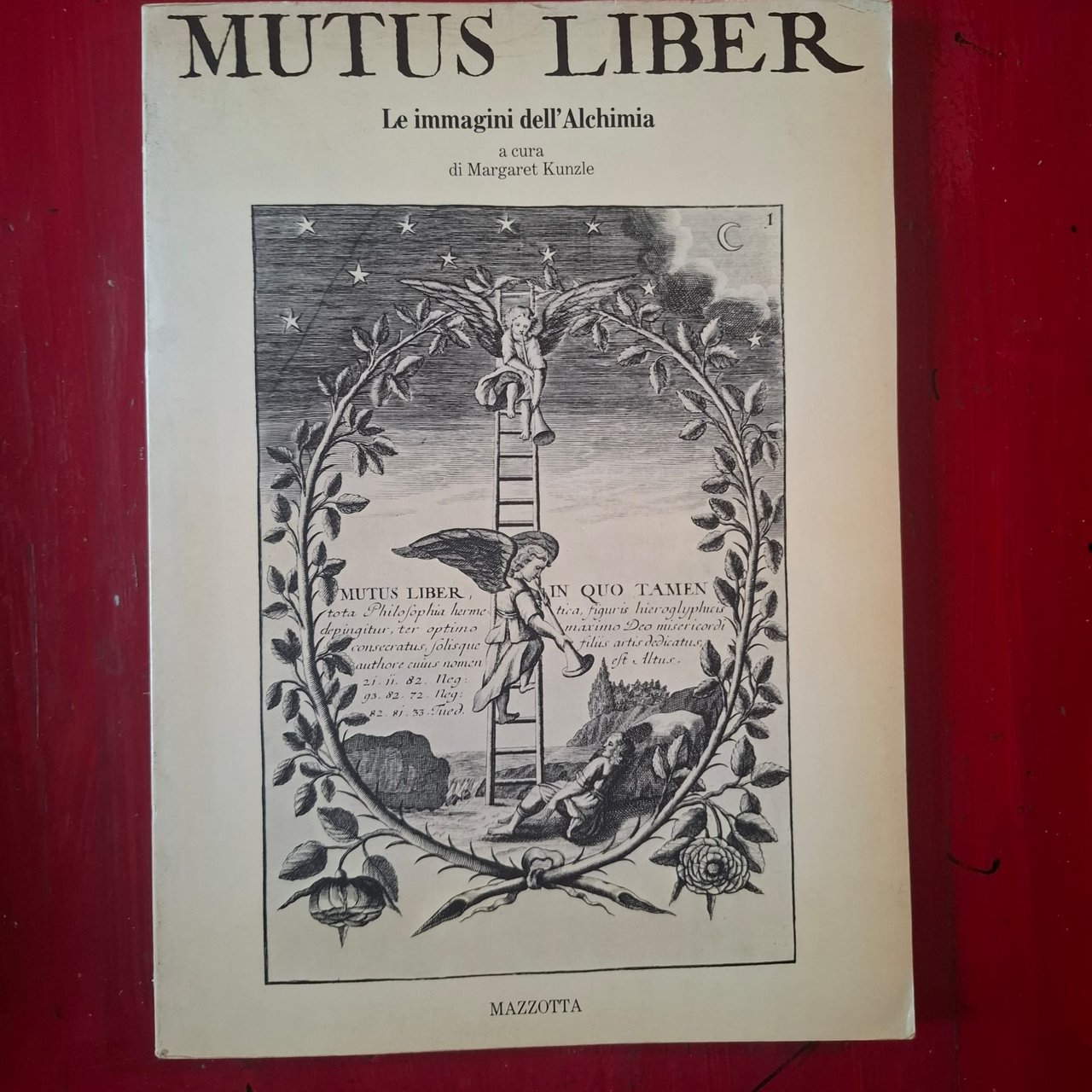 Mutus Liber | Immagine principale
