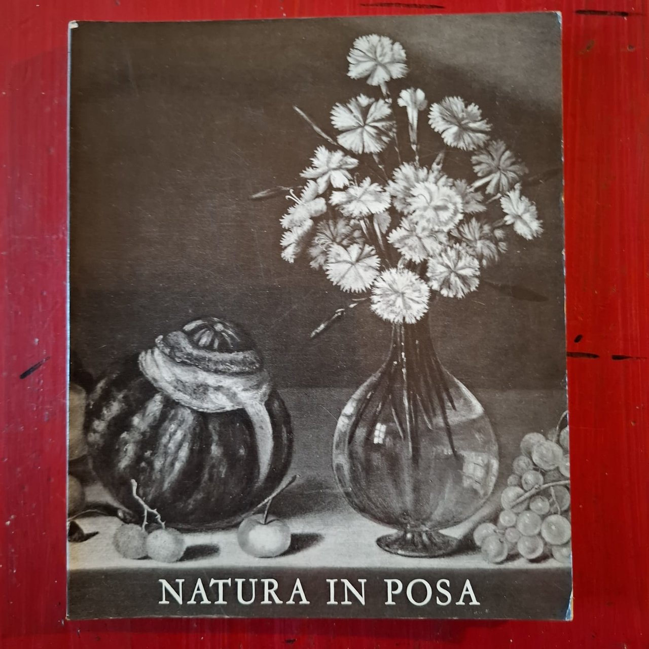 Natura in Posa | Immagine principale