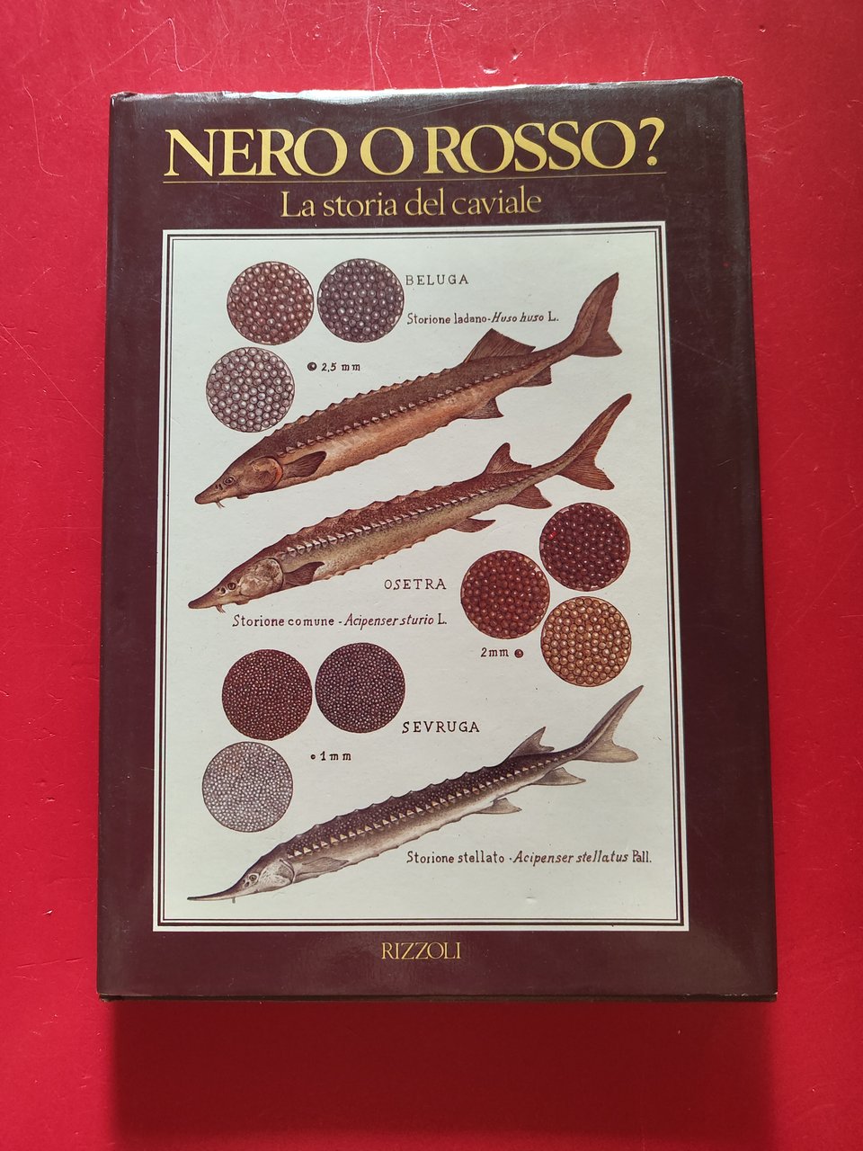 Nero o Rosso ?