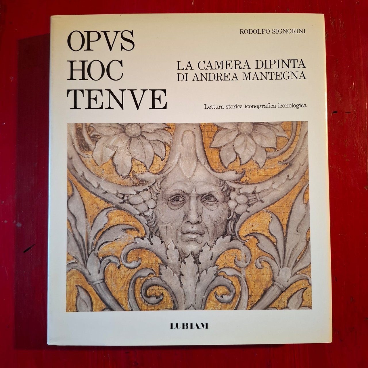 Opus Hoc Tenve La Camera dipinta da Andrea Mantegna | Immagine principale