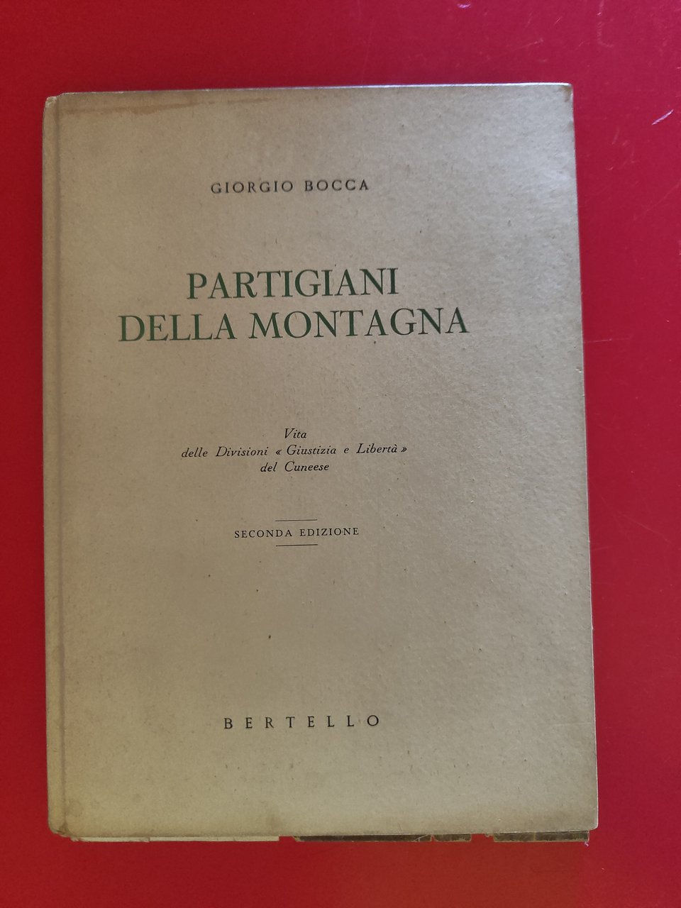 Partigiani della montagna