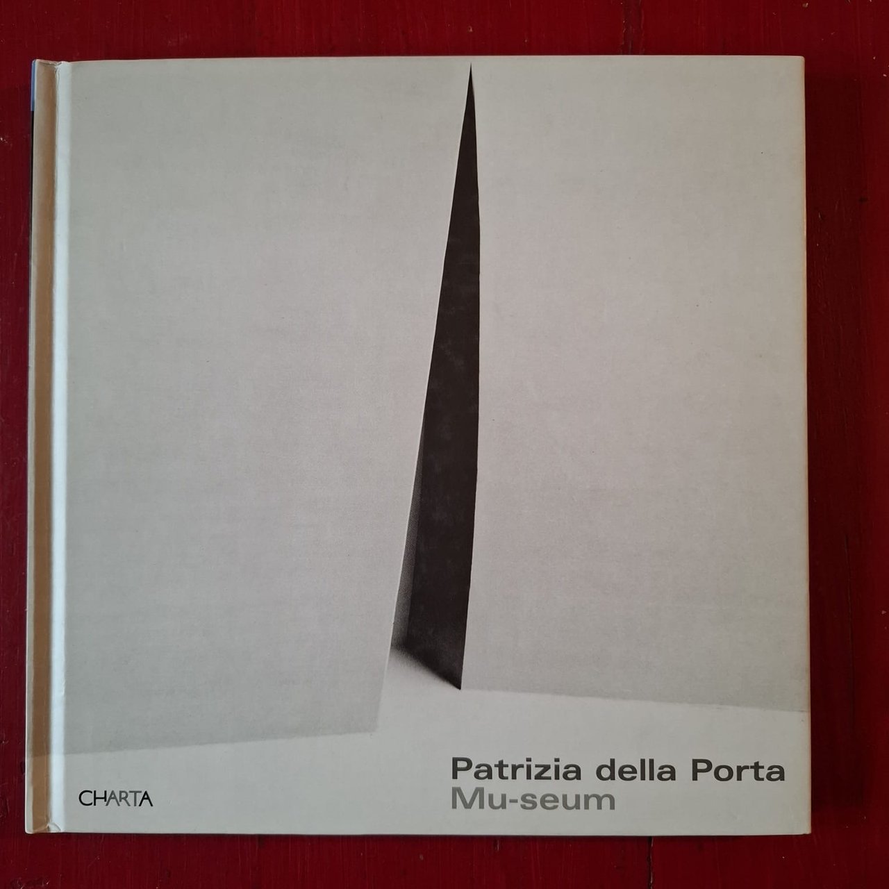 Patrizia della Porta | Immagine principale