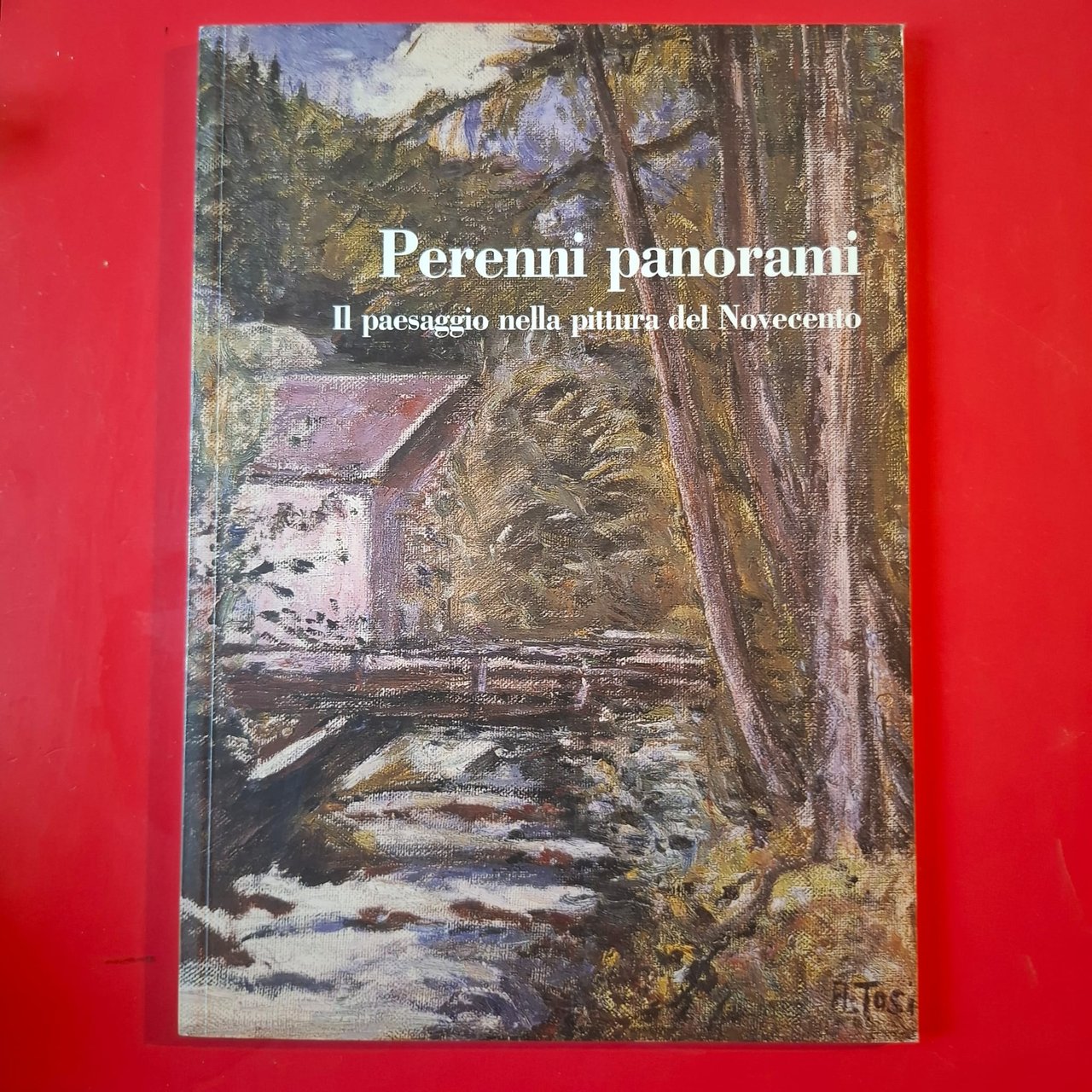 Perenni paronami | Immagine principale
